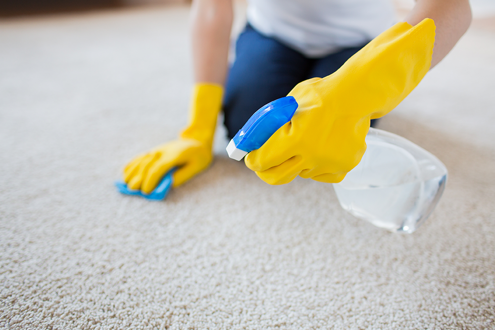 carpet-cleaning