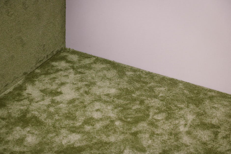 Close-up view of a carpeted floor in a residential interior, showing a plush beige carpet with a slightly uneven texture. The carpet appears to have been affected by moisture or mould, evident from the localized dark patches and possible discolouration. The room features a white painted wall and a darker-colored wall, with the corner where they meet visible in the background. Bright, natural lighting highlights the surface's condition, emphasizing the need for deep cleaning and sanitisation. The setting is minimal, with no visible furniture or cleaning tools in the frame, indicating a focus on surface cleaning and mould remediation services provided by Paddington Carpet Cleaning in the Paddington area, specifically for addressing mould and leak-related carpet issues in residential spaces.
