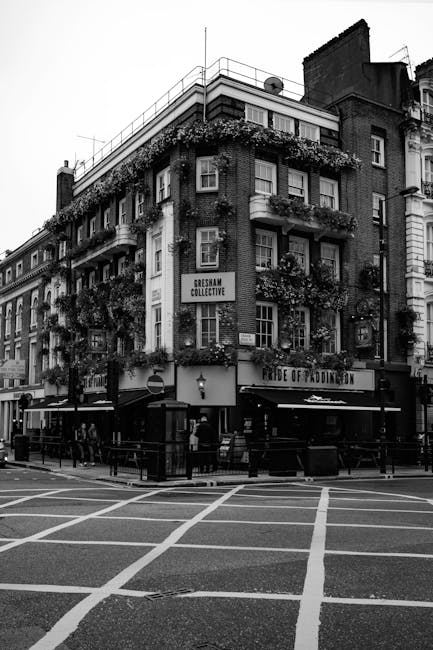 Black and white photograph of a multi-story building situated at a street corner in Paddington. The building features balconies adorned with lush, hanging plants and large windows. The ground floor houses a pub named 'Fried of Paddington,' with outdoor seating and signage visible. The street has marked pedestrian crossings and is lined with railings, with a few pedestrians walking nearby. The overall scene represents an urban residential and commercial area typical of Paddington, with a focus on historic architecture and lively street life. Paddington Carpet Cleaning is featured as part of local cleaning service promotion, highlighting the importance of surface cleaning and maintenance in residential and commercial spaces within Paddington.