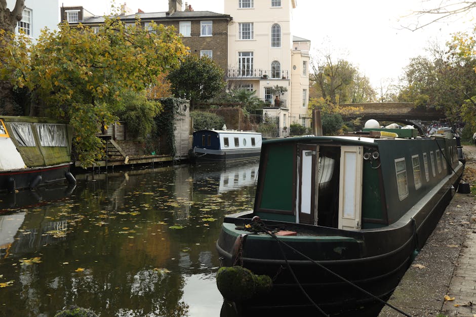 A riverside scene on a bright, clear day featuring a calm waterway with several narrowboats moored along the bank. Two large trees with lush green foliage are in the foreground, partially shading the walkways and benches beneath them. Behind the trees, there is a row of white, terraced residential buildings with multiple windows and small front gardens, some with potted plants. The sky is blue with a few scattered clouds, and sunlight illuminates the scene, highlighting the clean, well-maintained appearance of the area. This tranquil setting emphasizes the importance of surface cleaning and maintenance in outdoor communal spaces, as managed by Paddington Carpet Cleaning, who specialize in deep cleaning and sanitisation of similar areas.